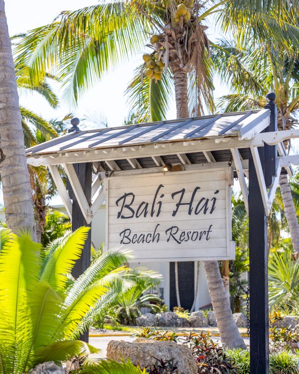 A wooden sign for "Bali Hai Beach Resort" stands among lush tropical plants and palm trees, suggesting a serene and exotic beach location.